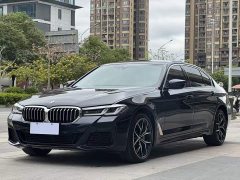 BMW 5 Series 530Li Luxury M Sport Package - ფოტო 2