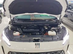Buick GL8 New Energy Lusang Smart Comfort Edition - ფოტო 20