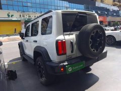 Tank 300 New Energy Hi4-T 37.1kWh - ფოტო 5