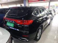 Haval M6 PLUS 1.5T DCT Elite Smart Connected Edition - ფოტო 7