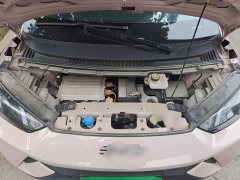 BYD Seagull Glory Edition 305km Vitality Version - ფოტო 11