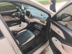 BYD Seagull Glory Edition 305km Vitality Version - ფოტო 19