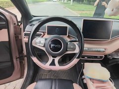 BYD Seagull Glory Edition 305km Vitality Version - ფოტო 3
