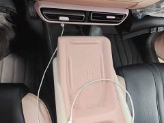 BYD Seagull Glory Edition 305km Vitality Version - ფოტო 7