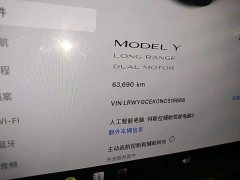 Tesla Model Y Facelift Long Range All-Wheel Drive - ფოტო 17