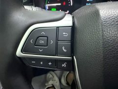 Toyota Gravia 2.5L Hybrid Comfort Edition - ფოტო 13