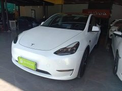 Tesla Model Y Standard Range RWD - ფოტო 1