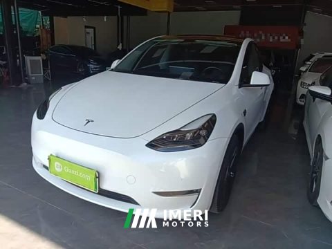 2021 Tesla Model Y Standard Range RWD - ავტომობილი ჩინეთიდან