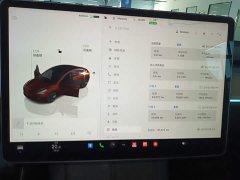 Tesla Model 3 Rear-Wheel Drive - ფოტო 13