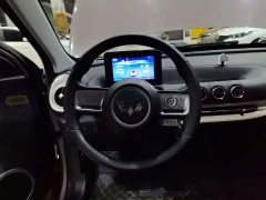 Wuling Binguo 203km Light Enjoy Edition - ფოტო 11