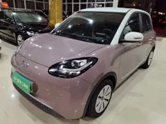 Wuling Binguo 203km Light Enjoy Edition - ფოტო 2