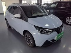 Yizhi Yiz EV2 201km Comfort - photo 4