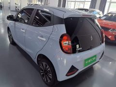 Yizhi Yiz EV2 201km Comfort - photo 5
