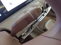 Wuling Binguo 333km Joy Edition - ფოტო 14