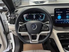BYD Song Plus New Energy 2021 DM-i 110KM Flagship Plus - ფოტო 10
