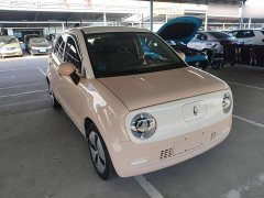 Ora Black Cat 2022 301km Base Ternary Lithium - ფოტო 4