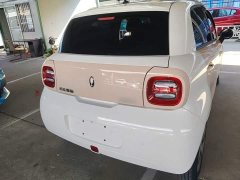 Ora Black Cat 2022 301km Base Ternary Lithium - ფოტო 6