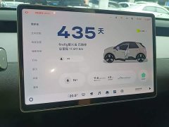 Nio Firefly Luminous Edition - ფოტო 12