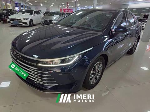 2024 BYD Destroyer 05 Glory Edition DM-i 55KM Luxury