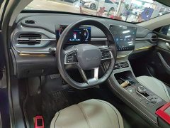 BYD Destroyer 05 Glory Edition DM-i 55KM Luxury - ფოტო 10