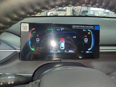 BYD Destroyer 05 Glory Edition DM-i 55KM Luxury - ფოტო 12