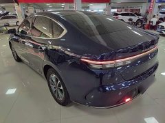 BYD Destroyer 05 Glory Edition DM-i 55KM Luxury - ფოტო 5