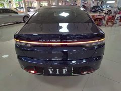 BYD Destroyer 05 Glory Edition DM-i 55KM Luxury - ფოტო 6