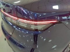 BYD Destroyer 05 Glory Edition DM-i 55KM Luxury - ფოტო 8