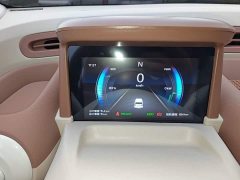 FAW Besturn Xiaoma 222km Shining Edition - ფოტო 11