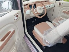 FAW Besturn Xiaoma 222km Shining Edition - ფოტო 16