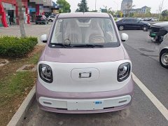 FAW Besturn Xiaoma 222km Shining Edition - ფოტო 3