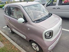 FAW Besturn Xiaoma 222km Shining Edition - ფოტო 4