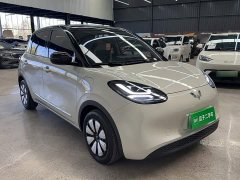Wuling Binguo 333km Joy Edition - ფოტო 11