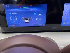 Wuling Binguo 333km Joy Edition - ფოტო 8