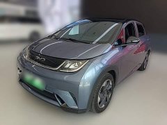 BYD Dolphin Glory Edition 420km Fashion Version - ფოტო 1