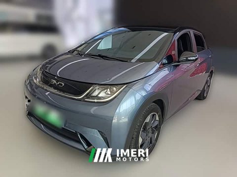 2024 BYD Dolphin Glory Edition 420km Fashion Version - ავტომობილი ჩინეთიდან