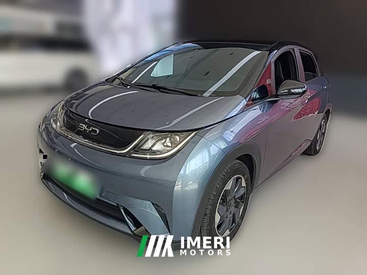 BYD Dolphin Glory Edition 420km Fashion Version