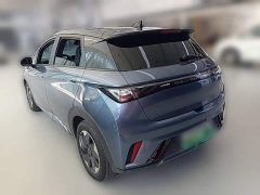 BYD Dolphin Glory Edition 420km Fashion Version - ფოტო 7