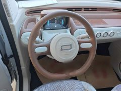 FAW Besturn Xiaoma 222km Colorful Edition - ფოტო 12