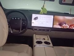 Li Auto L8 Pro - ფოტო 13