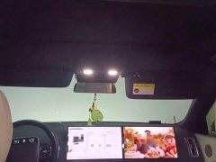 Li Auto L8 Pro - ფოტო 9