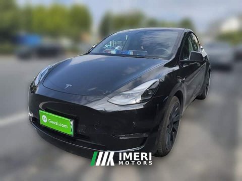 2021 Tesla Model Y Standard Range RWD - ავტომობილი ჩინეთიდან
