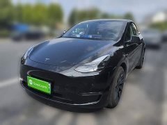 Tesla Model Y Standard Range RWD - ფოტო 2