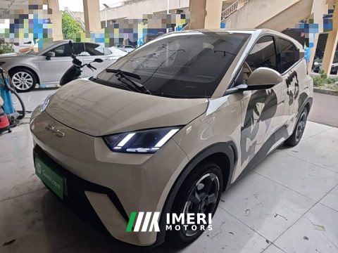 2023 BYD Seagull Freedom Edition - ავტომობილი ჩინეთიდან