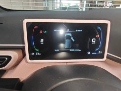 BYD Seagull Freedom Edition - ფოტო 12