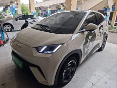 BYD Seagull Freedom Edition - ფოტო 2