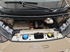BYD Seagull Freedom Edition - ფოტო 20