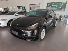 Tesla Model Y Long Range All-Wheel Drive - ფოტო 1