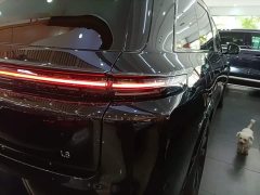 Li Auto L8 2023 Pro - ფოტო 8