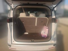 Denza BYD Denza D9 2022 DM-i 1040 Premium - ფოტო 10